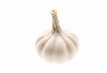 Garlic on a transparent White background