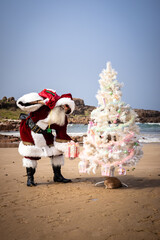 Santa on Beach putting Presents under the Christmas Tree
