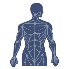 body with Acupuncture pressure points