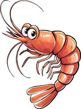 Naklejki Watercolor vector of a cartoon shrimp, isolated on a white background, shrimp animation vector