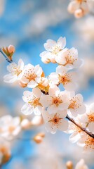 Obraz premium A full frame shot of spring blossoms, a vibrant scene with butterflies fluttering among the flowers, evoking a sense of joy and renewal.