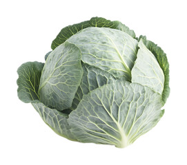 Fototapeta premium Cabbage on a transparent background. isolated background.