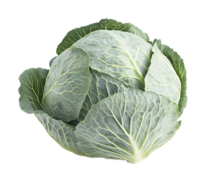 Cabbage on a transparent background. isolated background.