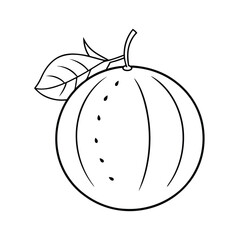 water melon silhouette vector illustration