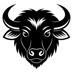 head of bull