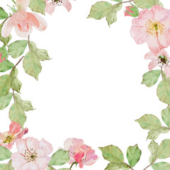 watercolor blossom pink old rose clair martin english rose flower bouquet wreath square frame