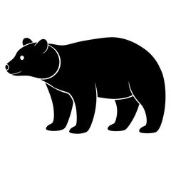 illustration of a bear