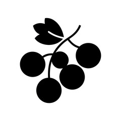 black olives on a branch