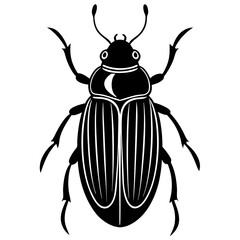 beetle, insect, bug, isolated, animal, macro, white, nature, black, wildlife, closeup, green, scarab, close-up, coleoptera, antenna, beetles, pest, arthropod, fauna, animals, invertebrate, entomology,