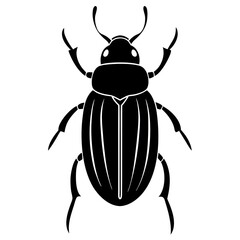 state potato beetle