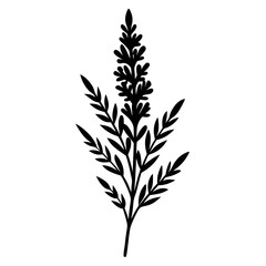 silhouette of a tree