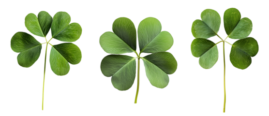 Four leaf clover set isolated on transparent background. Generative AI