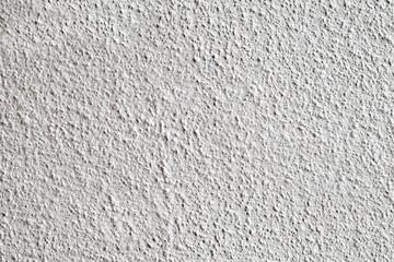 background is a white rough wall