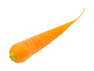 carrots one fresh, isolated on white background with clipping path