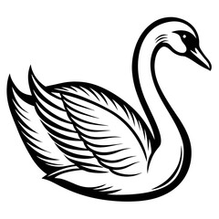 black swan vector © Shamoli