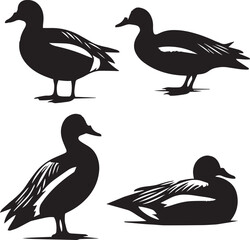 American wigeon sitting poses silhouette set black and white logo
