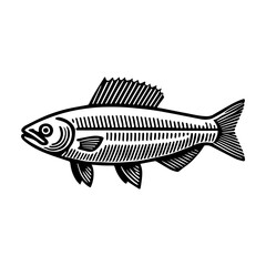 Obraz premium Simple Vector Icon of a Chilean Pine Mullet – Logo Design Illustration