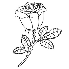 Rose Black Outline, Vector Illustration. A Single Rose With Leaves And Stem.