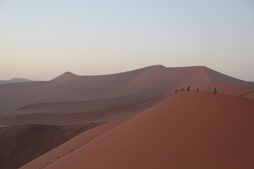 sand dunes in park