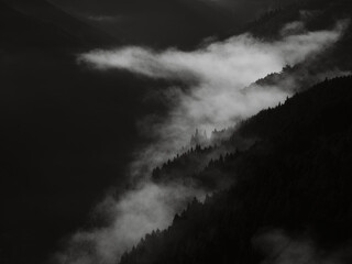 Obraz premium モノクロの谷間を流れる霧