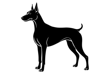 Doberman Silhouette Vector Illustration of a Sleek Dog Standing Tall with Alert Ears