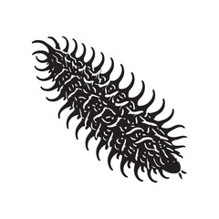 Sea Cucumber Silhouette Vector Illustration, Solid White Background.