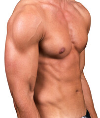 Fototapeta premium Body fit male torso