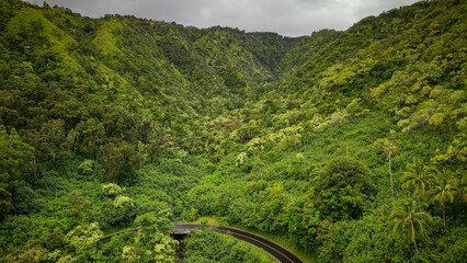 Bird view to the Hawaiian Island of Maui and fly with me along the road to Hana which is embedded...