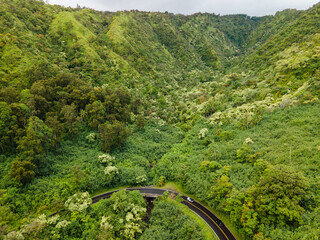 Bird view to the Hawaiian Island of Maui and fly with me along the road to Hana which is embedded...
