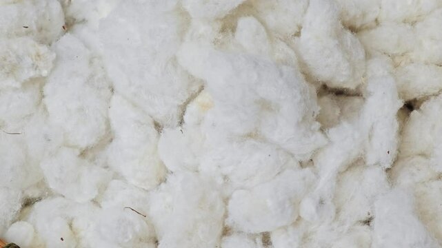 Cottonseed