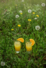 glasses of lemonade in the grass in the summertime