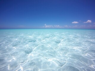 Blue sea under a sunny and cloudy sky, with a shimmering water surface and vibrant underwater life, sunny, ecosystem