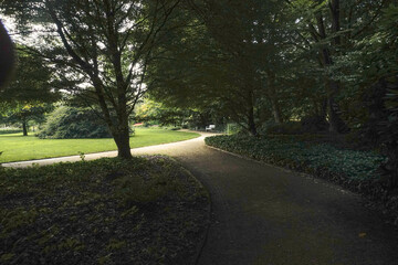A dark park shrouded in silence and mystery
