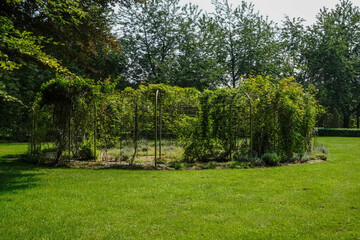 A green park shaded by trees, offering a quiet and peaceful atmosphere