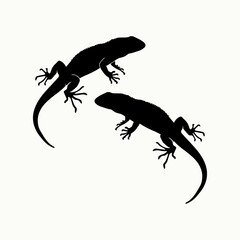 Black and white isolated silhouette of lizard