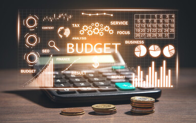 Concept of Budget with a financial graphs. Business. Finance