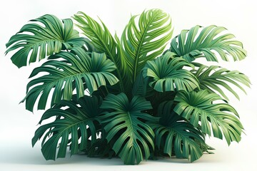 Obraz premium Lush Tropical Monstera Leaves Against a White Background