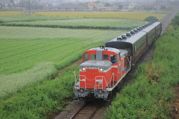 一面のそば畑の中始発駅に回送されるSLもおか号(DE10-1535号機)_2020/9/26撮影