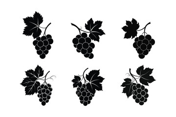 grape fruits silhouette vector illustration