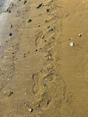 A detailed close up view of a sandy surface showing footprints in it
