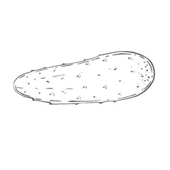 Green fresh cucumber, whole, small. Watercolor High quality illustration on white background Can be used in menus, recipes, salads, cooking, dish ingredients Harvest, vegetable from the garden, farm.