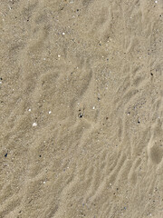 A detailed close up view of a sandy surface showing footprints in it