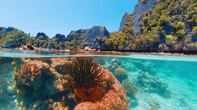 Half underwater split view showcasing a lush tropical island and its vibrant coral reef. Raja Ampat, Indonesia