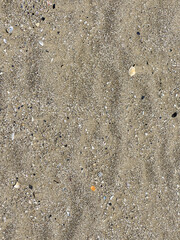 A detailed close up view of a sandy surface showing footprints in it