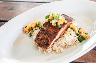 Close Up Shot of a Salmon and Rice Dish