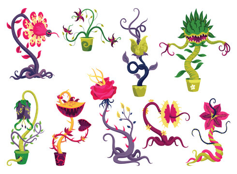 Carnivorous plants set in fantasy design. Cartoon flytraps in pots, plants monsters. Vector flowers predator with teeth isolated on white background