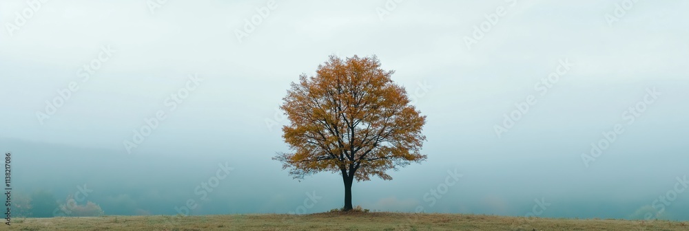 Poster a tree stands alone in a field with a foggy sky in the background. the tree is bare and has no leave