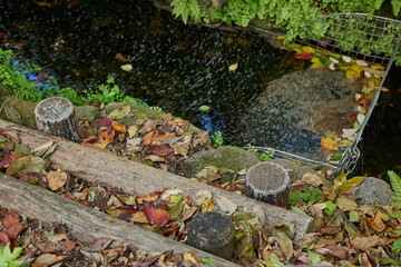 世田谷 遊歩道 小川