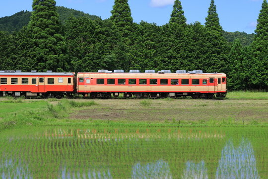  初夏の沿線をのんびりと走るいすみ鉄道キハ52・キハ28_2021/6/5撮影