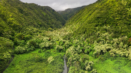 Lets fly with me along the green paradise island and the valley where a small creek is embedded